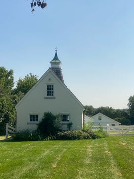 IMG_4649